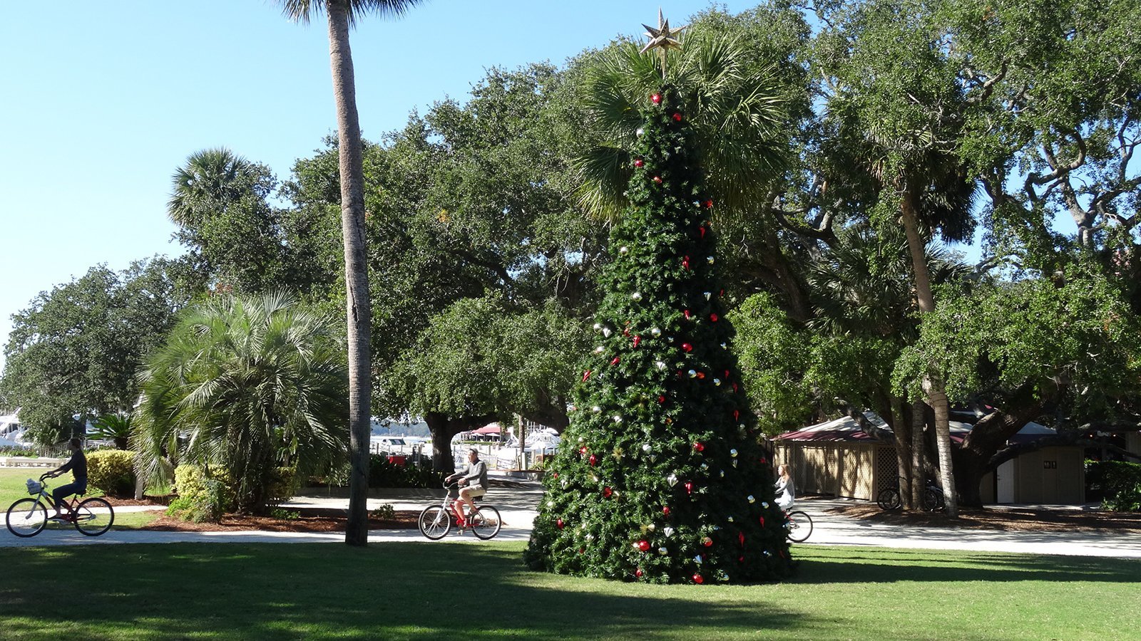 Harbour Town Christmas Tree 2018